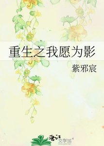 重生之我願為影